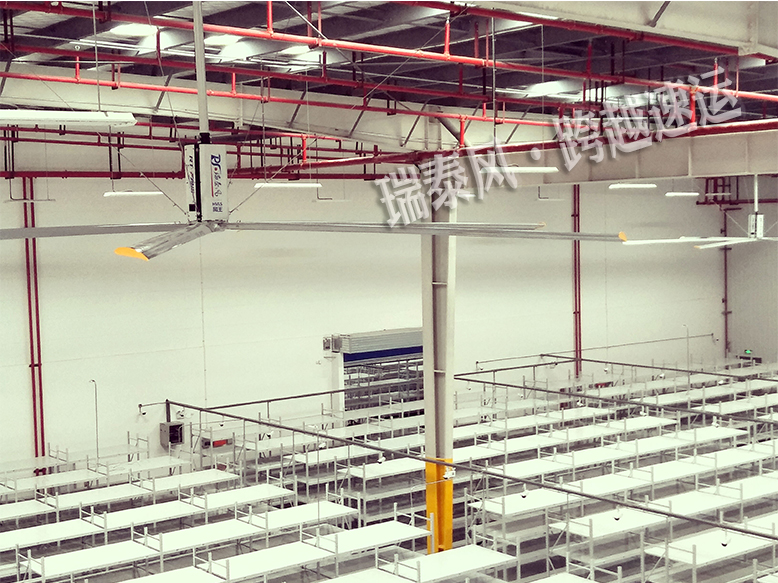超大型工業(yè)吊扇,超大型吊扇,超大吊扇-瑞泰風(fēng) 超大型工業(yè)吊扇,超大型吊扇,超大吊扇-瑞泰風(fēng)