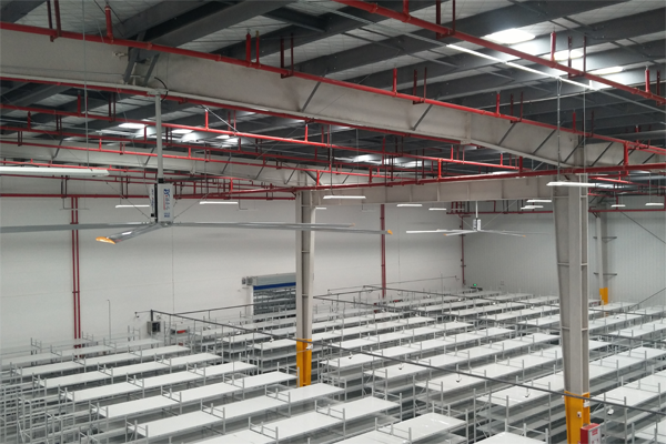 揭陽(yáng)工業(yè)大型吊扇廠(chǎng)家 揭陽(yáng)工業(yè)大型吊扇廠(chǎng)家